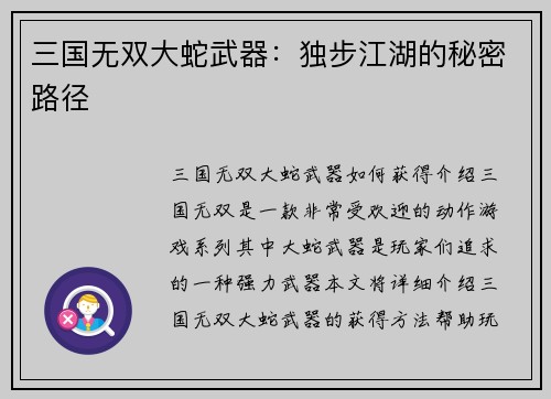 三国无双大蛇武器：独步江湖的秘密路径